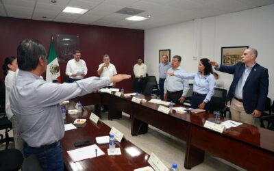 Analiza IMPLADU modernización de la Guerrero