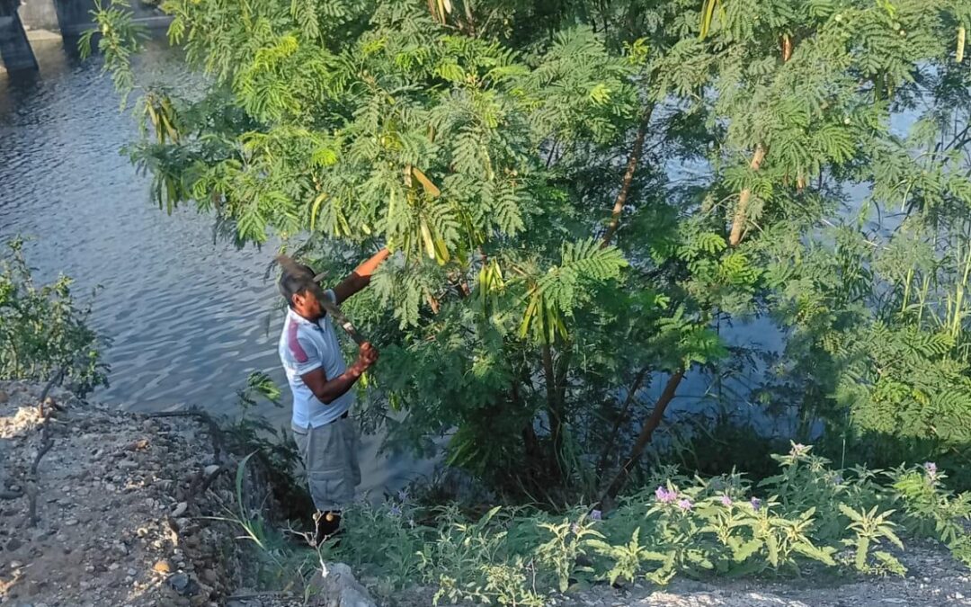 Realiza Gobierno de Reynosa trabajo de mantenimiento en el canal Anzaldúas