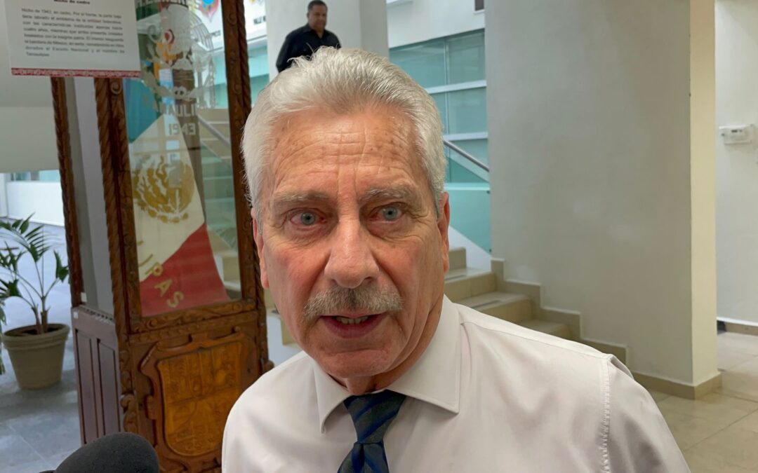 Admite Morena Desgaste y Llama a “Depurar” sus Filas: Zertuche Zuani