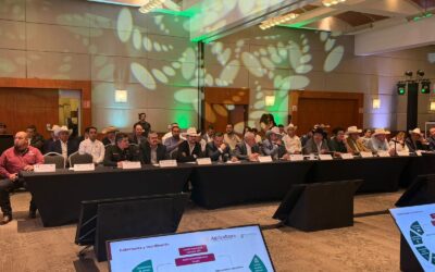 Participa Tamaulipas en reunión binacional pecuaria