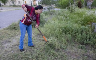 Jornada por la Paz Acerca Servicios y Apoyos a Familias de Santa Rosalía