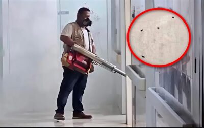 Infestación en la UMF 39: La crisis sanitaria que acecha al IMSS en Matamoros