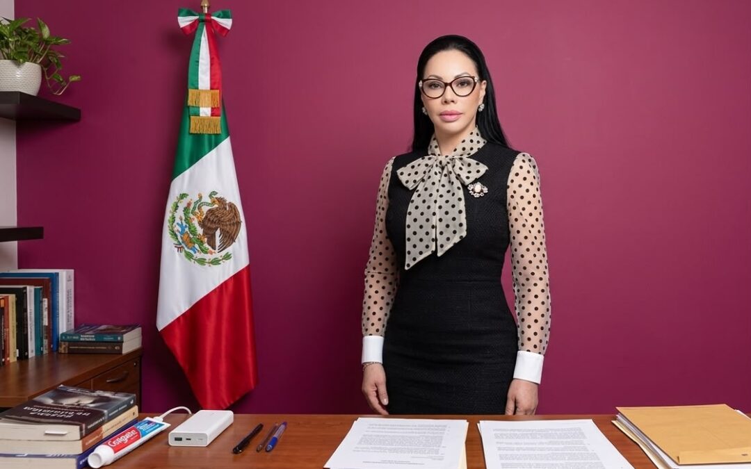 Protege Diputada Giselle Arellano a Pasajeros con Reforma Aérea