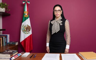 Protege Diputada Giselle Arellano a Pasajeros con Reforma Aérea