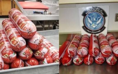 Decomisan casi 290 kilos de mortadela y confiscan vehículo en la frontera