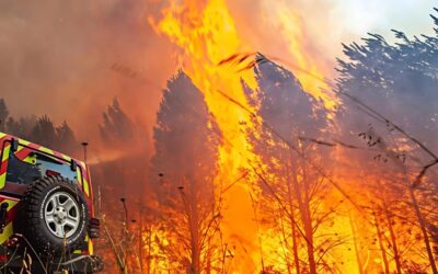 Avanza devastación por incendios en Europa