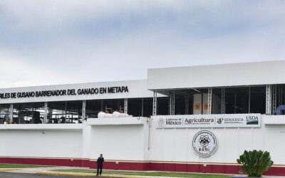 Arranca operativo histórico en Chihuahua: Liberan Millones de Moscas Estériles