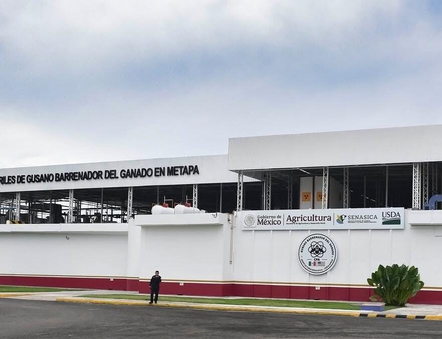 Arranca operativo histórico en Chihuahua: Liberan Millones de Moscas Estériles