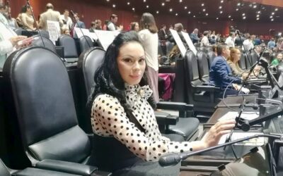 Protege Diputada Giselle Arellano a Pasajeros con Reforma Aérea