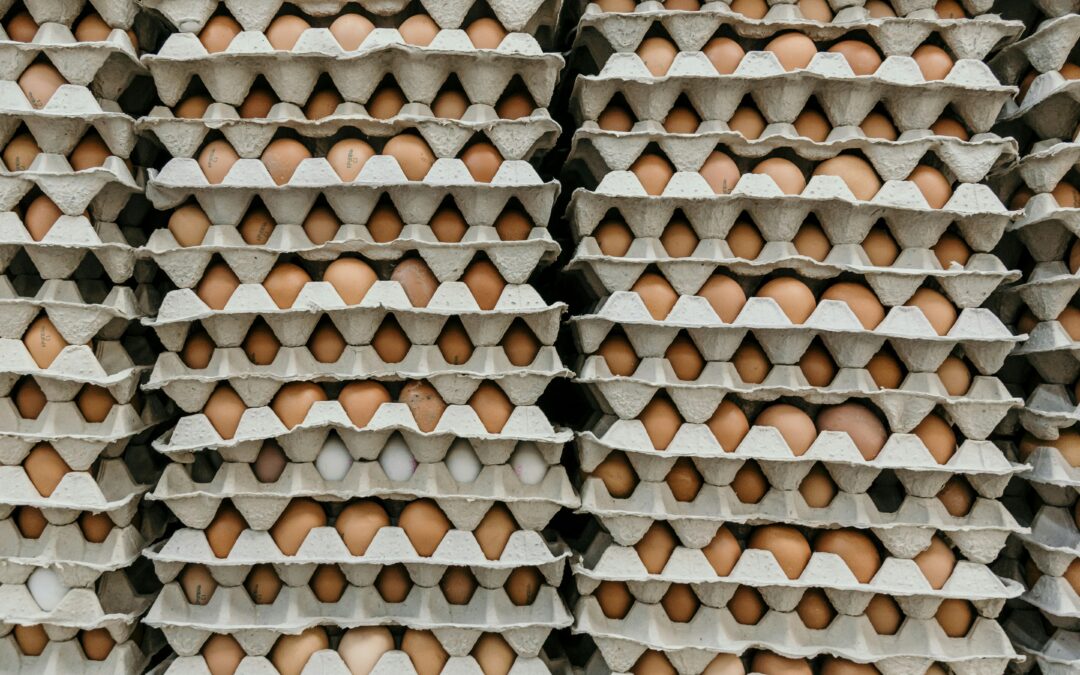 Dejan a Texas Sin Huevos