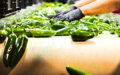 Paran el Chile Mexicano en Estados Unidos