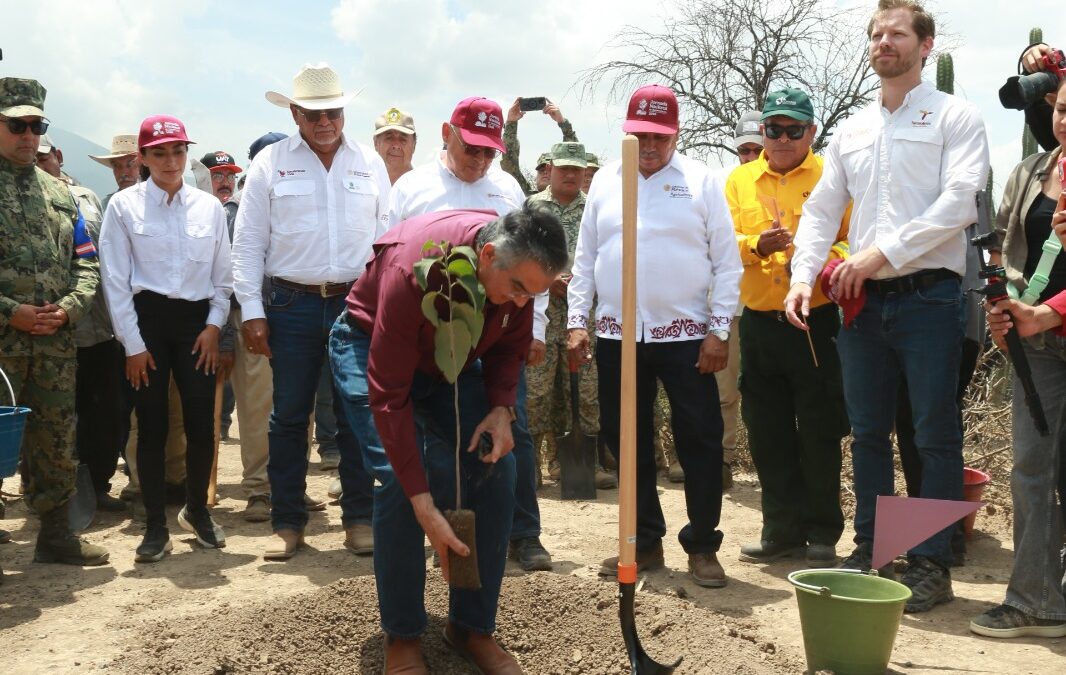 Participa Tamaulipas en Jornada Nacional de Reforestación