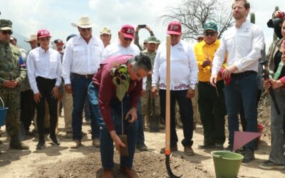 Participa Tamaulipas en Jornada Nacional de Reforestación