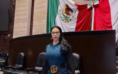 Busca Diputada Giselle Arellano Actualizar Castigo por Amenazas Digitales