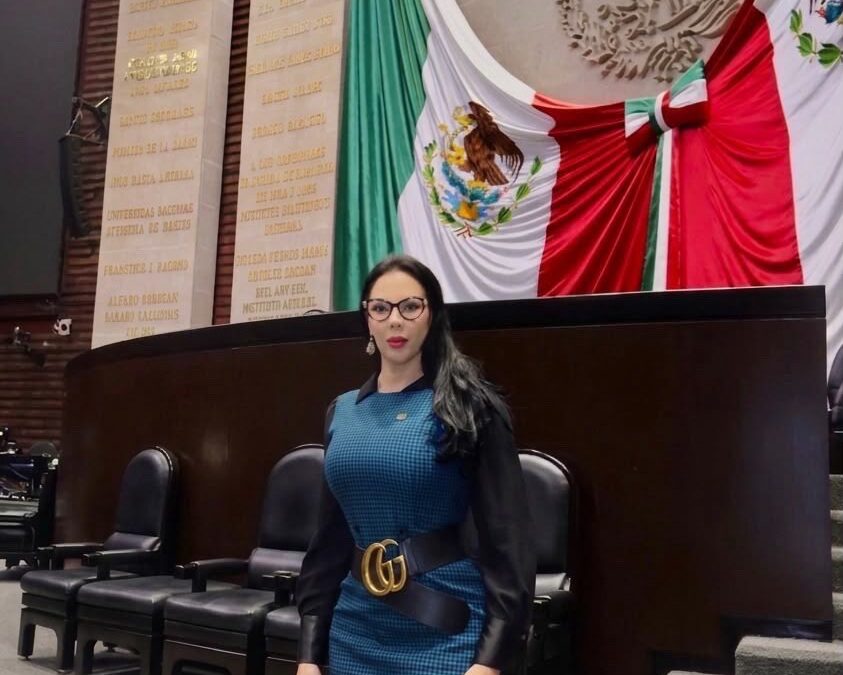 Busca Diputada Giselle Arellano Actualizar Castigo por Amenazas Digitales