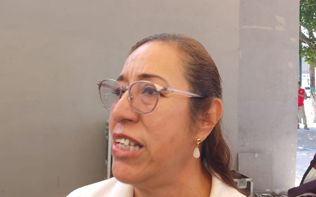 Sin Definir Alianza Morena y PVEM Para 2027