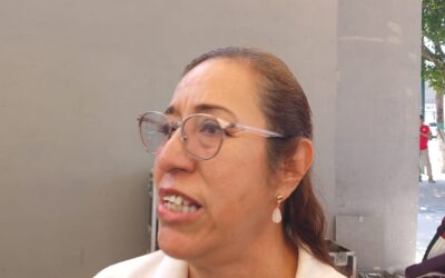 Sin Definir Alianza Morena y PVEM Para 2027