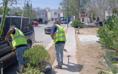 Limpieza y Buen Estado de Reynosa es Responsabilidad Compartida