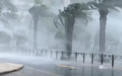Escala Polo a Categoría 5 y Enciende Alertas
