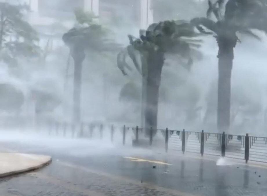 Escala Polo a Categoría 5 y Enciende Alertas