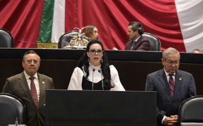 Lleva Diputada Giselle Yunuen Arellano Ávila a San Lázaro Protección para Mujeres por Violencia Económica