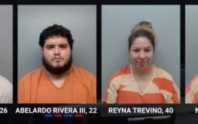 Acusan a 4 por Presunto Fraude en Trámites Vehiculares en Webb