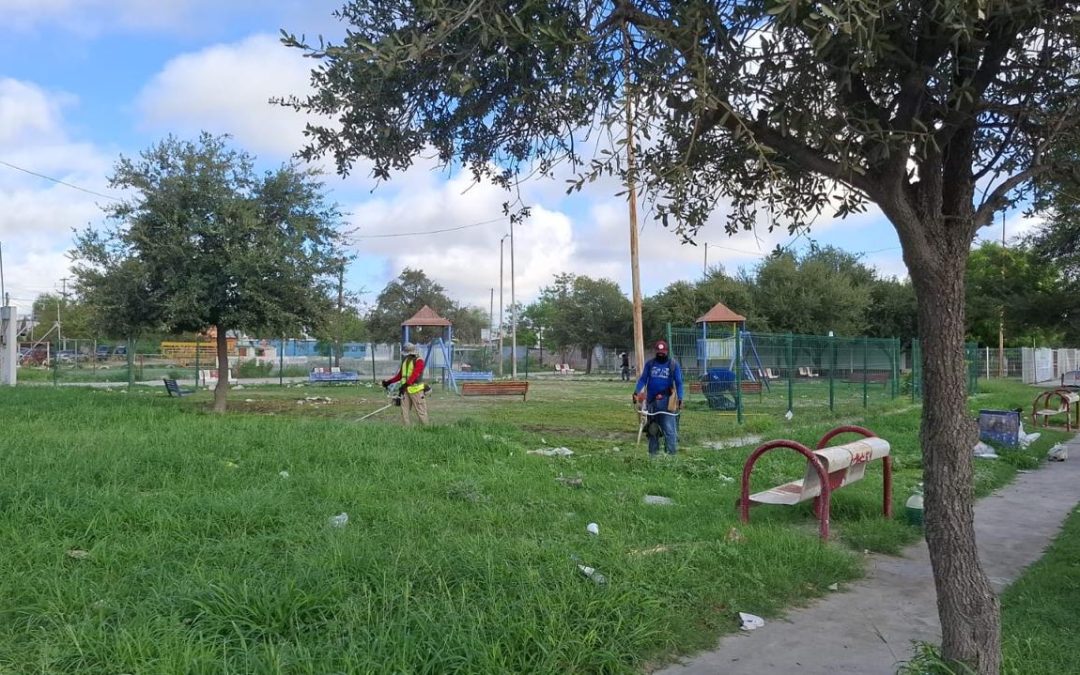 Realiza Servicios Públicos Municipales limpieza de área verde en la colonia Tamaulipas