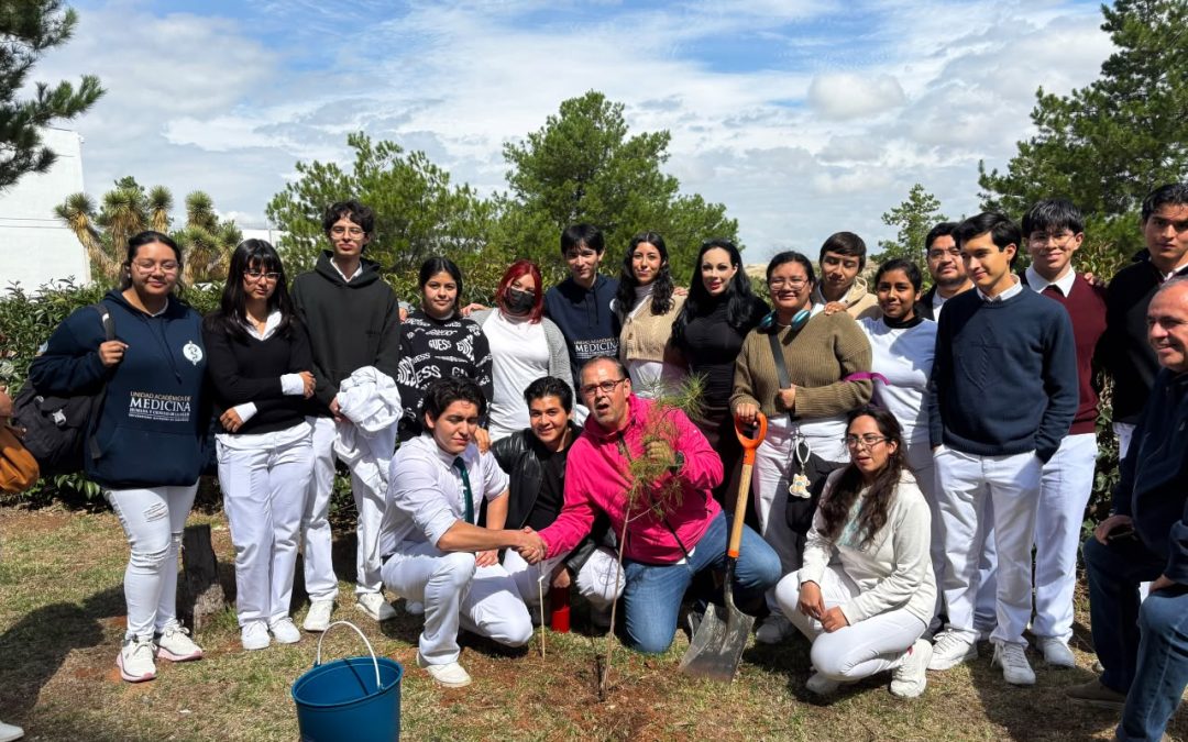 Impulsa Diputada Giselle Arellano Ávila Reforestación