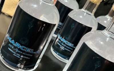 Anuncia la Secretaría de Turismo Primer Festival del Mezcal 2026