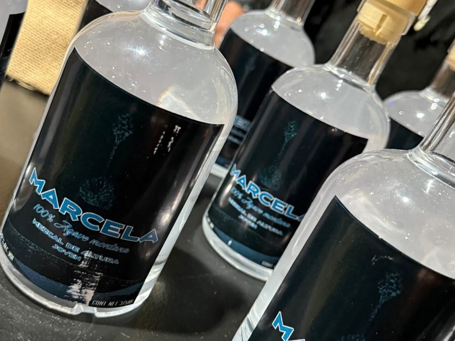 Anuncia la Secretaría de Turismo Primer Festival del Mezcal 2026