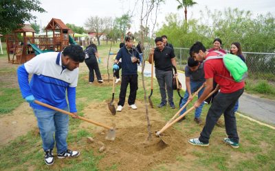 Supera Gobierno Municipal 5 Mil Árboles Plantados