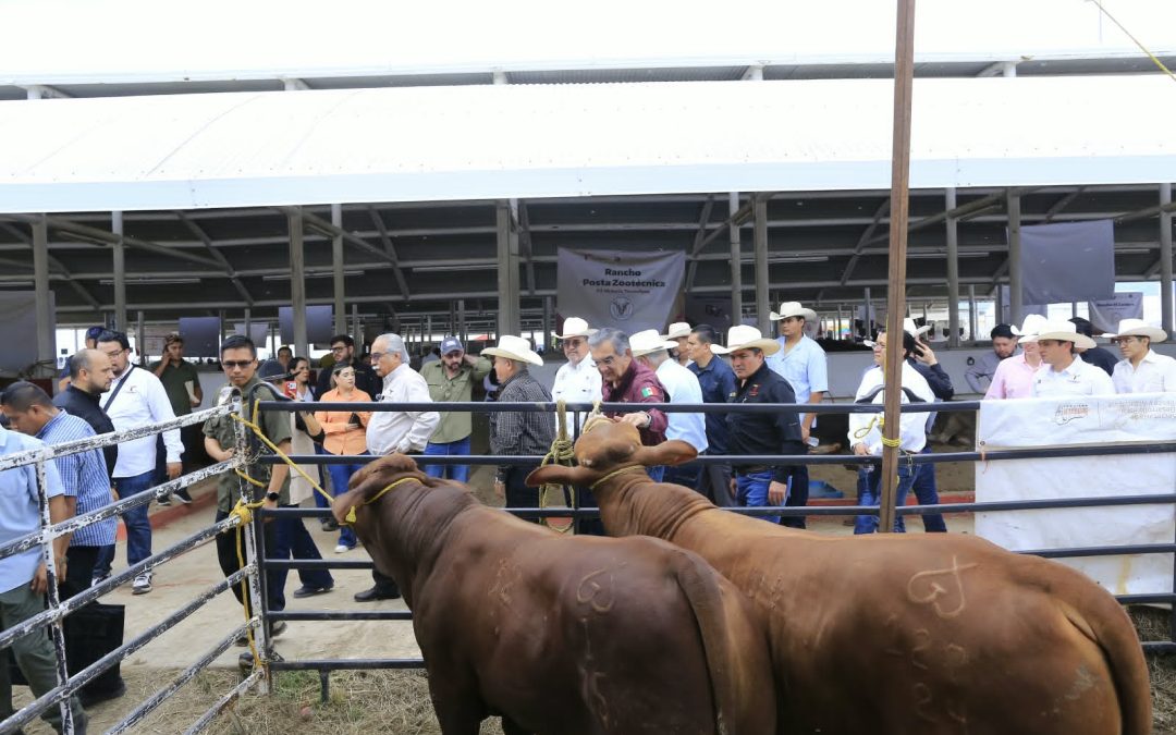 En Tamaulipas se han Destinado 545 MDP en Apoyos al Sector Ganadero: Américo