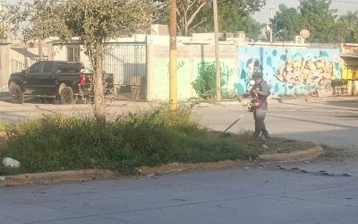 Realiza Servicios Públicos trabajo de limpieza en camellón de Riveras del Carmen